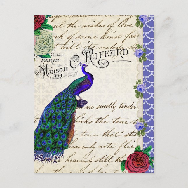 Vintag Peacock Song Collage Postkarte (Vorderseite)