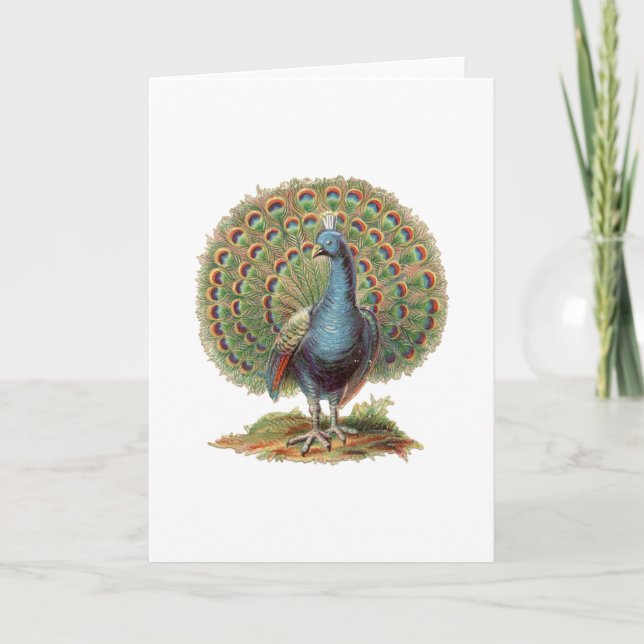 Vintag Pfau...notecard Karte (Vorderseite)