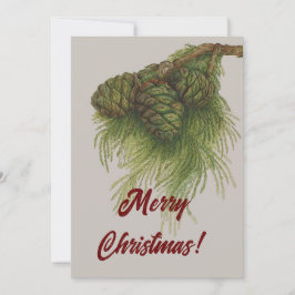 Vintag Pinecones Frohe Weihnachten