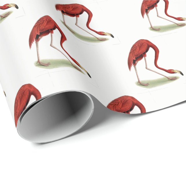 Vintag Pink Flamingo #1 Geschenkpapier (Rolleneckpunkt)