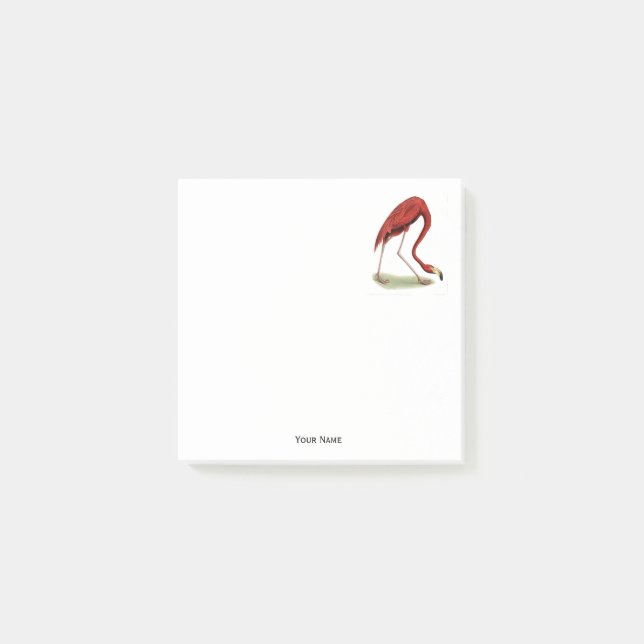 Vintag Pink Flamingo #1 Post-it Klebezettel (Vorderseite)