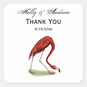 Vintag Pink Flamingo #1 Quadratischer Aufkleber