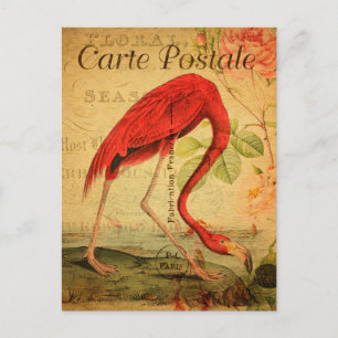 Vintag Pink flamingo Postkarte