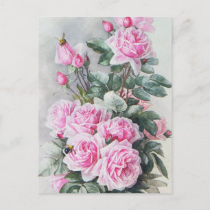 Vintag Pink Roses Bouquet Postkarte