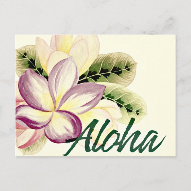 Vintag Plumeria Aloha Postkarte (Vorderseite)