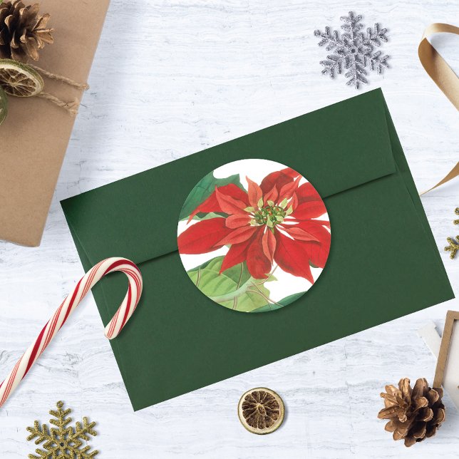 Vintag Poinsettia Botanisch Runder Aufkleber (Von Creator hochgeladen)