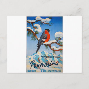Vintag Pontresina Vacation Schweiz Tourismus Postkarte