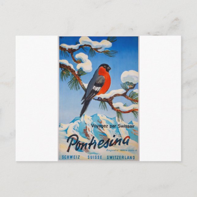Vintag Pontresina Vacation Schweiz Tourismus Postkarte (Vorderseite)