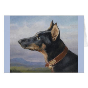 Vintag - Porträt eines DobermannPinscher,