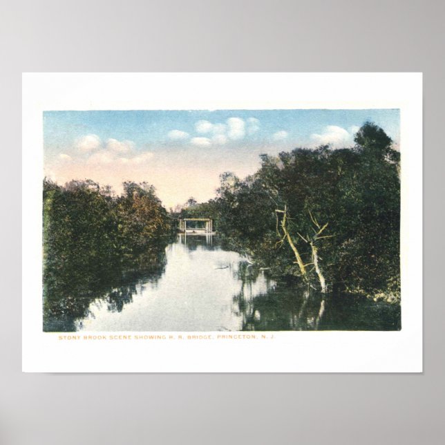 Vintag Princeton NJ Railroad 1920 Vintag Poster (Vorne)