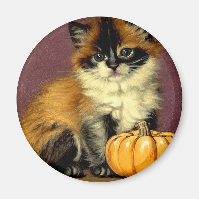 Vintag Ragdoll Halloween Cat Magnet (Vorne)