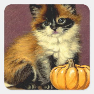 Vintag Ragdoll Halloween Cat Quadratischer Aufkleber