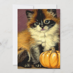 Vintag Ragdoll Halloween Cat Save The Date