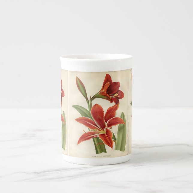 Vintag Red Amaryllis Weihnachtsgeschenk Tasse (Vorderseite)