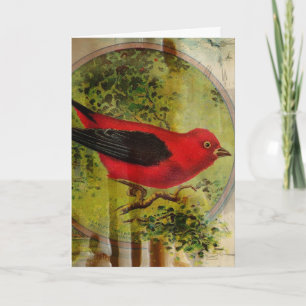 Vintag Red Bird Birthday Collage Karte