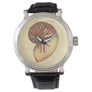 Vintag Red Conch Muschel Armbanduhr