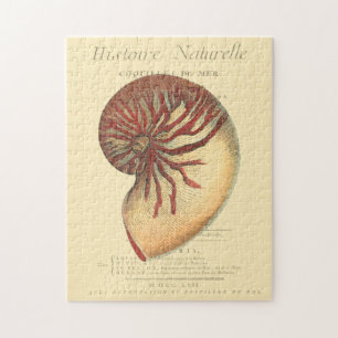 Vintag Red Conch Muschel Puzzle