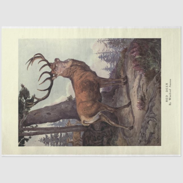 Vintag Red Deer Stag Ephemera Decoupage Seidenpapier (Vorderseite)