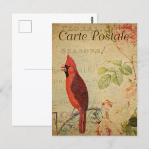 Vintag Red Kardinal Bird Postkarte