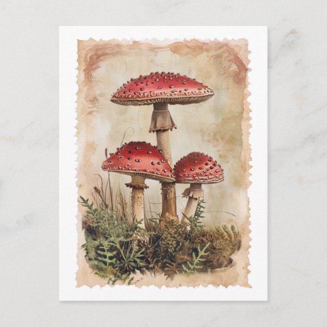 Vintag Red Mushroom Postcard Postkarte (Vorderseite)