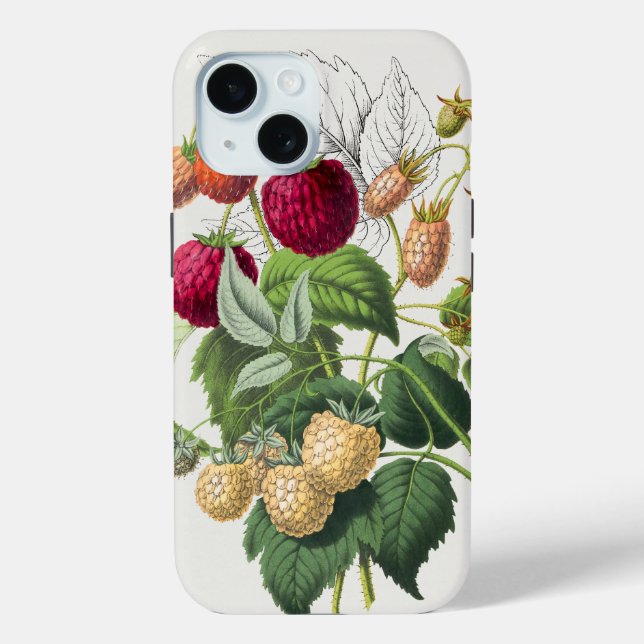 Vintag Red Strawberry Art Case-Mate iPhone Hülle (Rückseite)