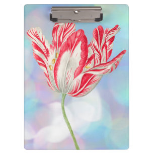Vintag Red Tulip Clipboard Klemmbrett
