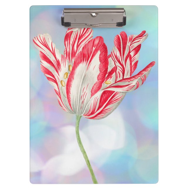 Vintag Red Tulip Clipboard Klemmbrett (Vorderseite)