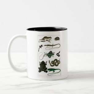 Vintag Reptiles Snake Lizard Zweifarbige Tasse
