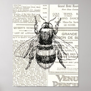 Vintag Retro Bee Newsprint Schwarz und Weiß Poster
