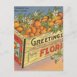 Vintag Retro Florida Orange Postkarte