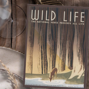 Vintag Retro Grand Wild Life Nationalpark Postkarte