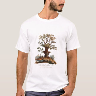 Vintag-Retro-Tree-Mushroom-Illustration T-Shirt