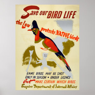 Vintag retten Sie gebürtiges wildes Vogel-Leben Poster