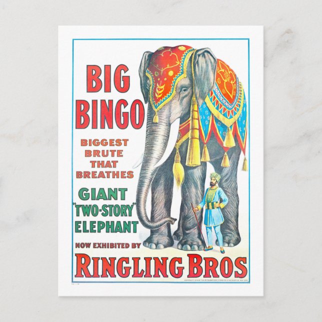 Vintag Ringling Bros Circus Ad - Großer Elefant Postkarte (Vorderseite)