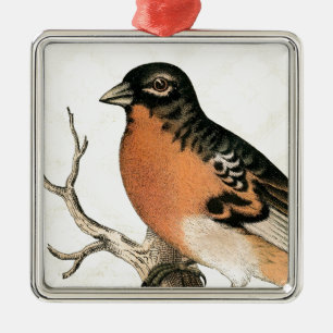 Vintag Robin Silbernes Ornament