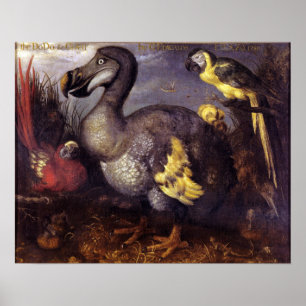 Vintag Roelant Savery Saverys Dodo Poster