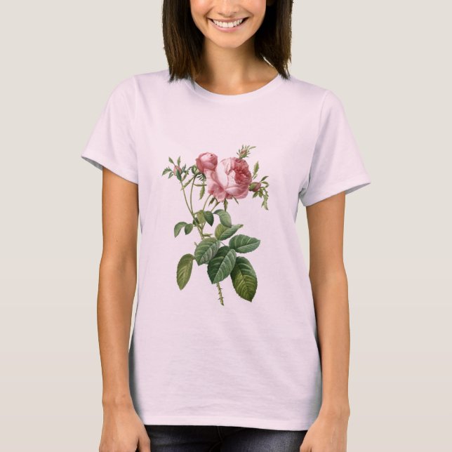 Vintag rosa rosa botanische Abbildung, Redoute T-Shirt (Vorderseite)