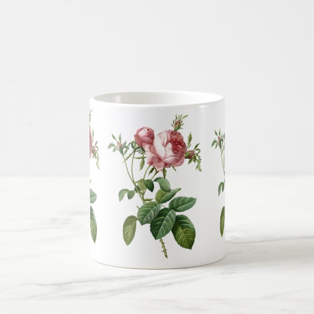 Vintag rosa rosa botanische Abbildung, Redoute Tasse (Mittel)