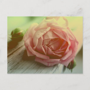 Vintag Rosa Rose Blume Blumenmuster Postkarte
