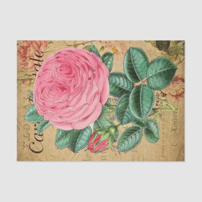 Vintag rosa Rose Blume Decoupage Craft Seidenpapier (Vorderseite)