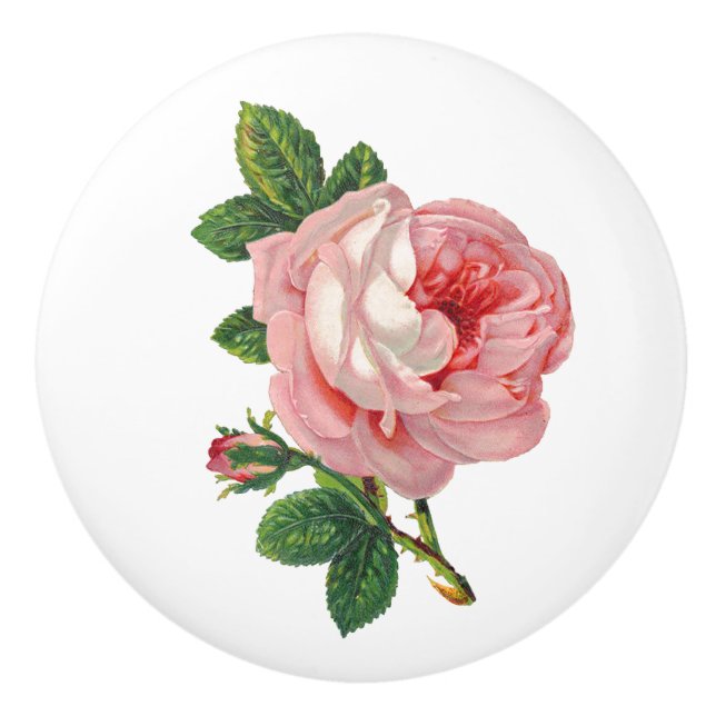 Vintag-Rosa-Rose Botanisch Keramikknauf (Vorderseite)