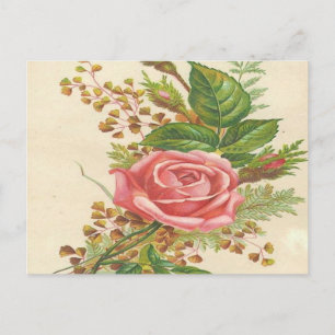 Vintag Rosa Rose Postkarte