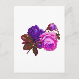 Vintag rosa Rosen - Geschenke Postkarte