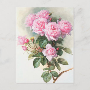 Vintag rosa Rosen Malerei Postkarte