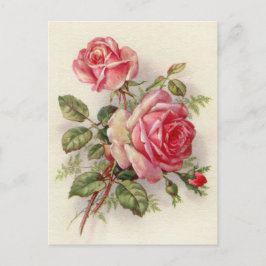 Vintag rosa Rosen niedliche Postkarte