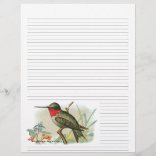 Vintag Ruby Throated Hummingbird Lined Letterhead