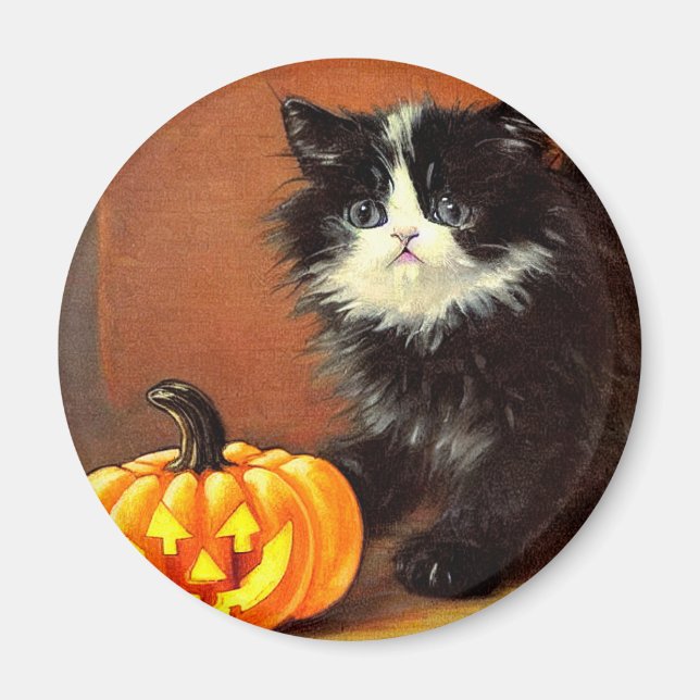 Vintag Schwarz/Weiß Halloween Kitten Magnet (Vorne)
