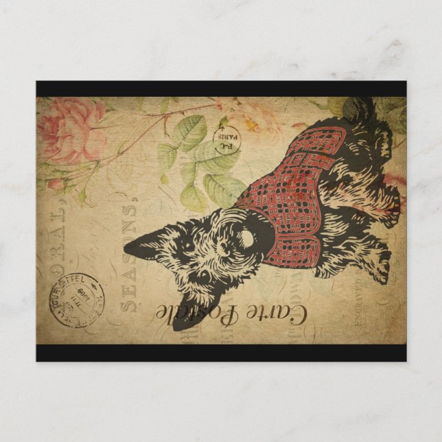 Vintag Scottie Postkarte (Vorderseite)