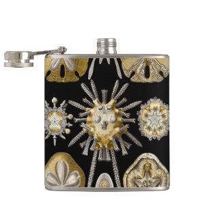 Vintag Sea Urchins Sand Dollars von Ernst Haeckel Flachmann