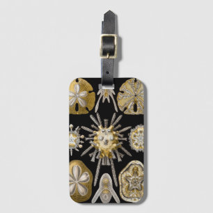 Vintag Sea Urchins Sand Dollars von Ernst Haeckel Gepäckanhänger
